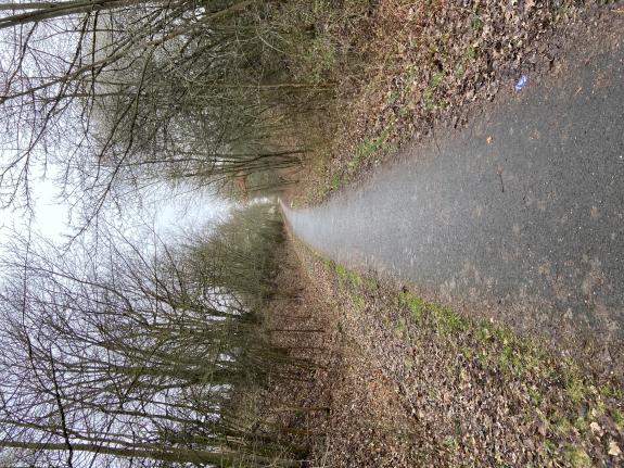 ehemalige Strecke der Eisenbahn in Droyßig